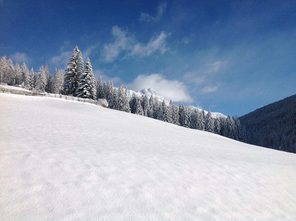 拜霍夫哈曼农家乐 Sarentino 外观 照片